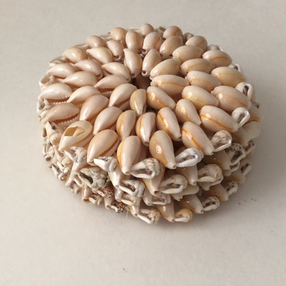 4 pc set Natural Shell Coasters - Picture 4 of 4